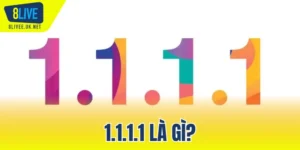 1.1.1.1 là gì