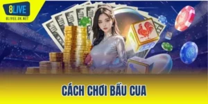 Cách chơi bầu cua