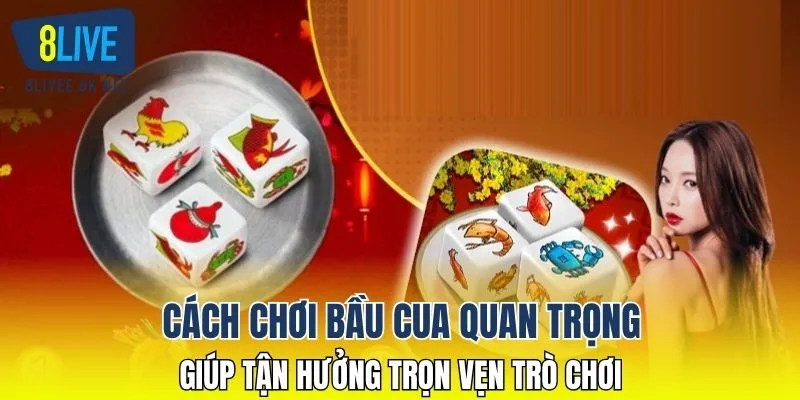Cách chơi bầu cua quan trọng giúp tận hưởng trọn vẹn trò chơi