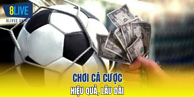 Chơi cá cược hiệu quả, lâu dài