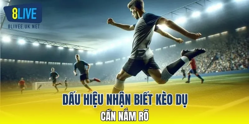 Dấu hiệu nhận biết kèo dụ cần nắm rõ