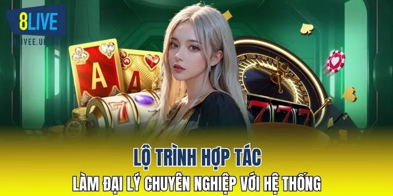 Lộ trình hợp tác làm đại lý chuyên nghiệp với hệ thống 