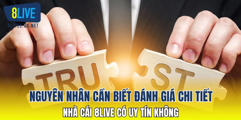 Nguyên nhân cần biết đánh giá chi tiết nhà cái 8LIVE có uy tín không