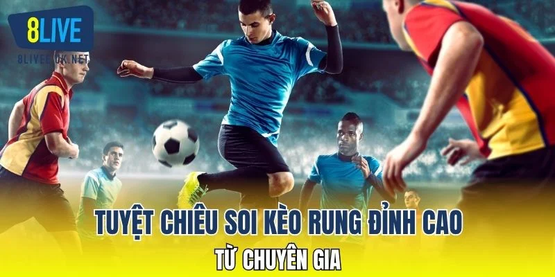 Tuyệt chiêu soi kèo rung đỉnh cao từ chuyên gia